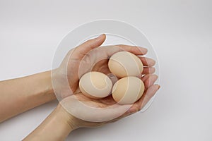 Hands of a woman holding fresh hen eggs