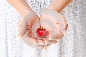 Hands, woman and holding strawberry fruits for detox, vegan diet and eco nutrition of fresh ingredients. Closeup of red
