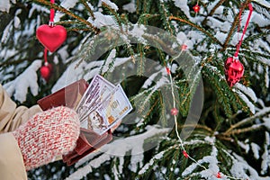 The hands of a woman in mittens hold a purse with dollars at the Christmas tree in a snow park on New Year`s Eve