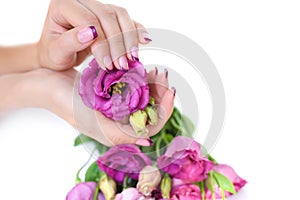 Hands of a woman with pink french manicure and flowers eustoma on a white background
