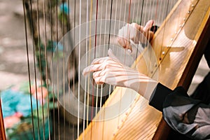 Hands of the woman playing a harp. symphonic orchestra. harpist