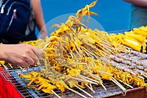 Hands of woman selecting a grilled squid.