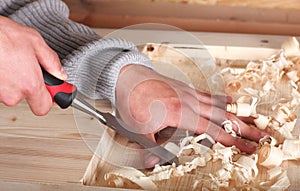 Hands in wood work