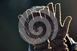 Hands with woolen gloves