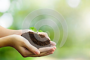 Hands wrapped around earth and seedlings waiting to grow. It is an idea medium of helping to reduce global warming. Let people