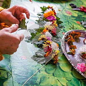 Hands of a young devotee who build a flower necklace to offer to