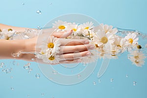 Hands of a young girl holding chamomile flowers with splash of water on a blue background.