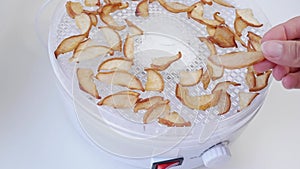 The hands of a young housewife take a dry slice of pear from the round top tray of the food dryer. Preparing for winter.