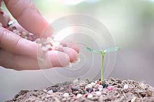 Hands of young man watering seedlings growing on top of the green leaf blurred background. Business Growth Concepts