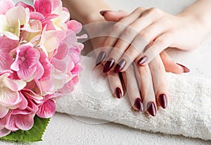 Hands of a young woman with dark red manicure on nails