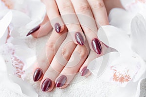 Hands of a young woman with dark red manicure on nails