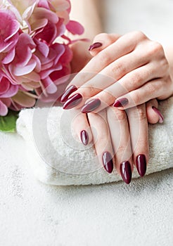 Hands of a young woman with dark red manicure on nails