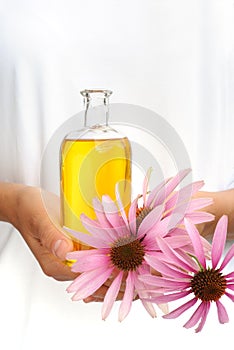 Hands of young woman holding essential oil and fresh coneflowers