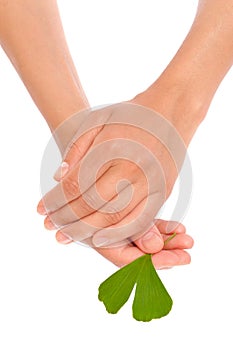 Hands of young woman holding ginkgo leaf