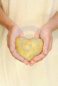 Hands of young woman holding potato in heart shape