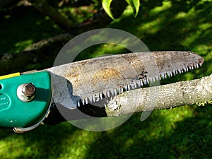 Handsaw photo