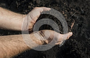 Handsfull of Compost