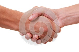 Handshake photo