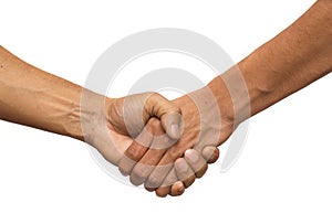 Handshake