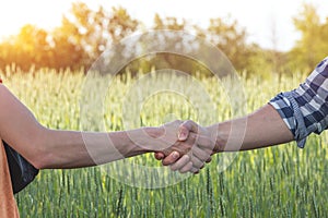 Handshake on the background of a wheat field