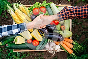 Handshake in the background wooden crate full of vegetables from organic garden. Harvesting homegrown produce. Top view