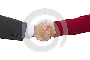 Handshake of business partners, men and women in the office