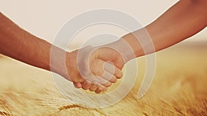 handshake contract farmers. agriculture business concept. two farmers shaking hands in a yellow wheat field signing a