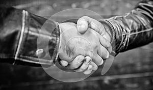 Handshake friendly gesture. Handshake gesture concept. Partnership and business deal. Successful deal handshake
