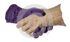 Handshake of green and purple felted gloves