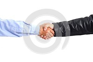 Handshake isolated on white background