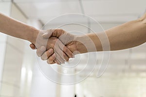 Handshake between man and woman. Business concept