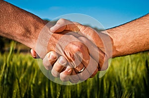 Handshake in the wheat field