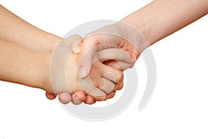 Handshake on white background