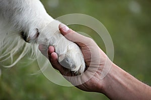 Handshaking