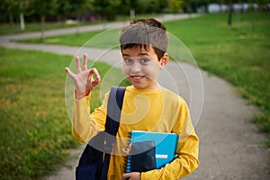 Handsome adorable schoolboy showing singn OK with his hand, standing with backpack and school supplies in the city park