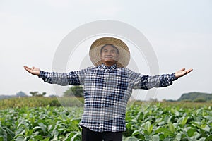 Handsome Asian man farmer is at garden, wears hat, plaid shirt, raise wide open arms.