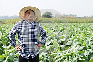 Handsome Asian man farmer, stand at garden, feel confident. Concept, agriculture occupation.