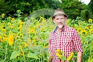 Handsome bavarian man in his 50s standing in a field of sunflowers