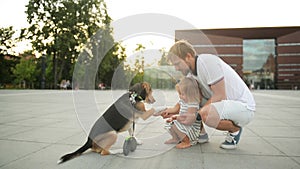 Handsome Bearded Father Spends Time with His Daughter During Sunset in the City. The Beagle Dog Gives a Paw to Little