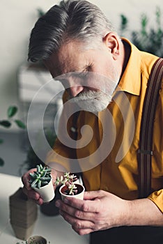 handsome bearded senior man holding small flower pots