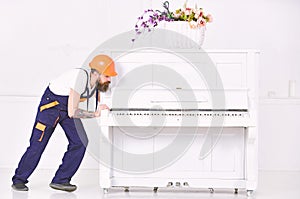 Handsome bearded strong man moving piano with open keyboard and glass vase with flowers on white background. Home