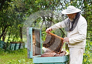 Handsome beekeeper in protective uniform checking the beehive