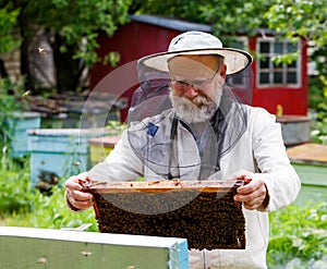 Handsome beekeeper in protective uniform checking the beehive