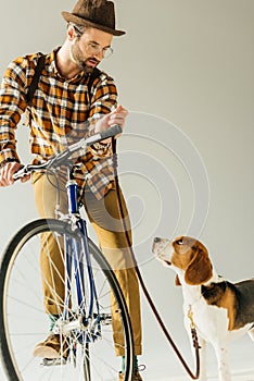 handsome bicycler with beagle with leash