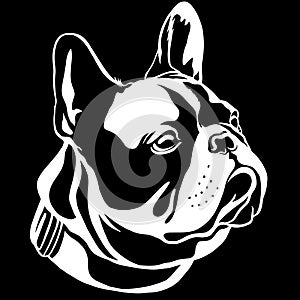 Handsome Black French Bulldog Logo. This is Frenchie Series in Black White style.