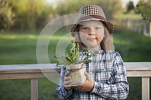 Handsome boy with dandelion flower summer outdoors