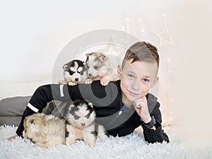 Handsome boy and four purebred husky puppies isolated