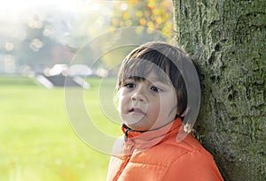 Handsome boy standing alone under big tree with morning light, Healhty child relaxing outdoor in autumn park , Candid shot 6-7