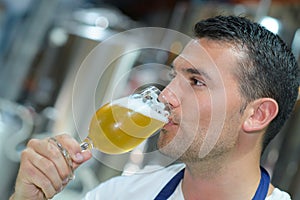 Handsome brewer in uniform tasting beer at brewery