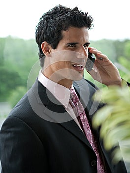 Handsome Business Man on Cell Phone
